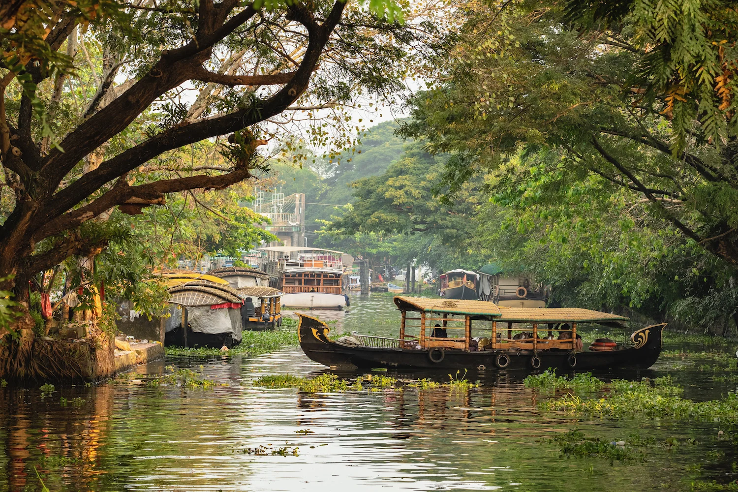 Kerala Trip