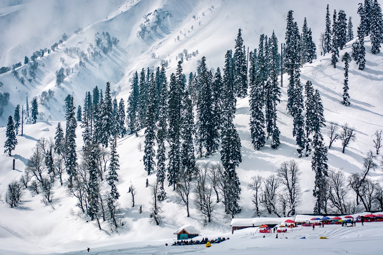 Kashmir 6Nights/7Days